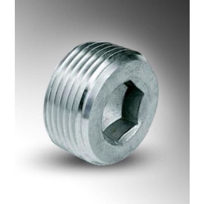 Calbrite S60700CSHP Counter-Sunk Hex Rigid Conduit Plug
