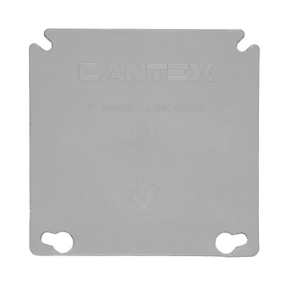 CANTEX EZ BOX EZXKL Non-Metallic Blank Box Cover, 4 in L x 4 in W, PVC