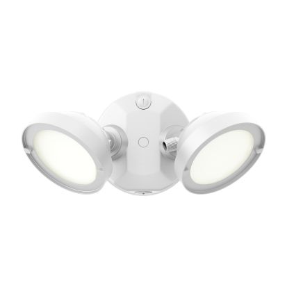 Cooper Lighting Metalux TGS2S402FRRW TGS Security Flood