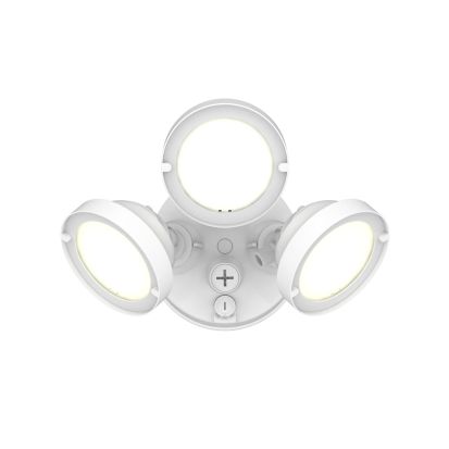 Cooper Lighting Metalux TGS3S403FRRW TGS Security Flood