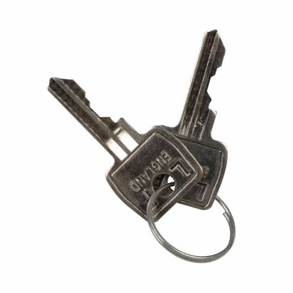 EATON Cutler-Hammer Series E22KS2 Heavy Duty Non-Metallic Spare Key, 5 in L x 4 in W, Standard/Master Key