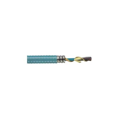 General Cable® NextGen® AP0121PNU-ILPA Armored Distribution Interlock Single Mode Tight Buffer Plenum Cable, 12 Fiber