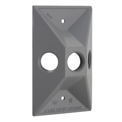 Hubbell BELL 5189-0 Weatherproof Cluster Cover, 2-27/32 in L x 4-19/32 in W, Die Cast Aluminum
