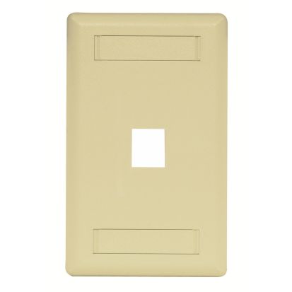 Hubbell Wiring Device-Kellems IFP11EI PLATE, WALL,FLUSH,1-G,1PORT,EI