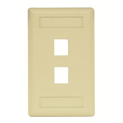 Hubbell Wiring Device-Kellems IFP12EI PLATE, WALL,FLUSH,1-G,2PORT,EI