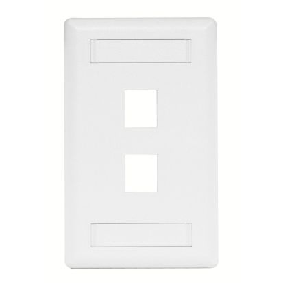 Hubbell Wiring Device-Kellems IFP12W PLATE, WALL,FLUSH,1-G,2PORT,WH