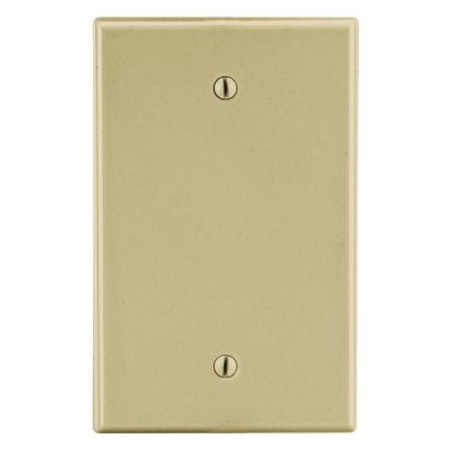 Hubbell P13I Wallplates