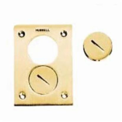 Hubbell Wiring Device-Kellems S5020 1-Gang Replacement Round Standard Flush Plug, For Use With 2-1/8 in Fine Thread S2925, SA2925, S88, S2930, S2955, SF2925, S2825 Floor Box Covers