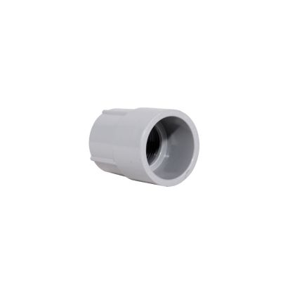 Ipex 078072 FA10 1IN PVC FEMALE ADPT