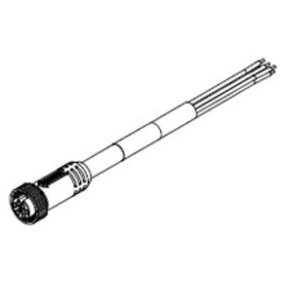 Molex Brad® Mini-Change® 206002A01F120 130007 Size B Single Ended Cordset, 1-16 UN Straight Male x Pigtail Connector, 12 ft m L Cable, 6 Poles, Single Keyway