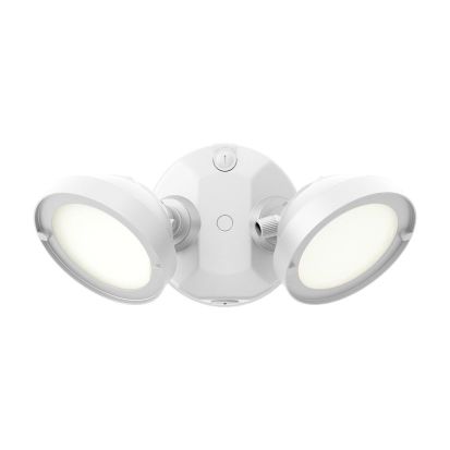 Cooper Lighting Metalux TGS2S402FRRW TGS Security Flood