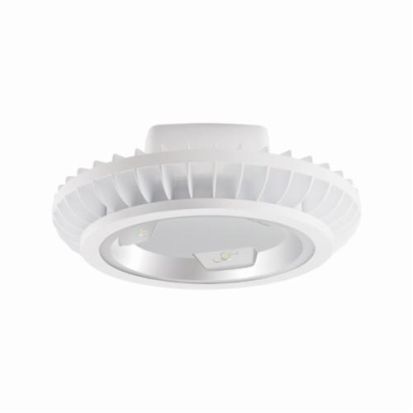 RAB BAYLED78W High Bay Fixture With Hook and Cord, LED Lamp, 89 W Fixture, 120/208/240/277 VAC, White Housing