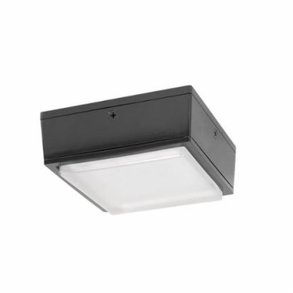 RAB VANLED20/PCS Vandalproof Canopy Lighting,) LED Lamp, 22 W Fixture, 120 VAC, Bronze Housing