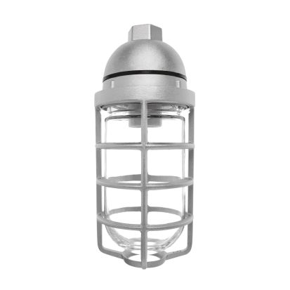 RAB VP200DG HID Vaporproof Pendant Fixture With Glass Globe,) A-19 Incandescent Lamp, 200 W Fixture