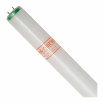 Shat-R-Shield® 45542 Linear Straight Shatter-Resistant Fluorescent Lamp, 25 W, Bi-Pin G13 Medium Fluorescent Lamp, 2150 Lumens, 85 CRI, 4100 K, 36 in L