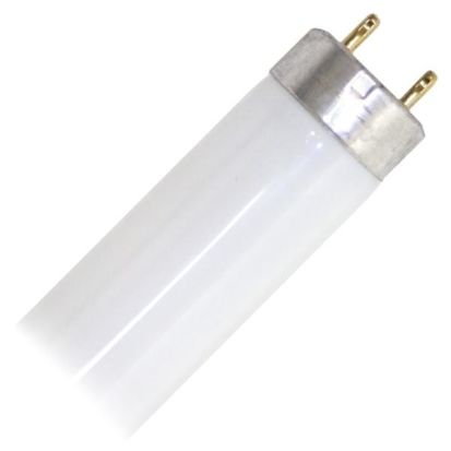 PHILIPS  209056 Fluorescent Lamp, 31.3 W, Linear Fluorescent Lamp, Bi-Pin G13 Medium Lamp Base, T8 Shape