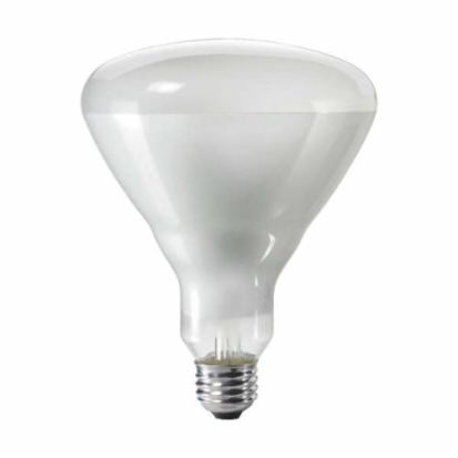 Signify PHILIPS 389130 Incandescent Reflector Lamp, 65 W, E26/24 Medium Incandescent Lamp, BR40 Shape, 630 Lumens