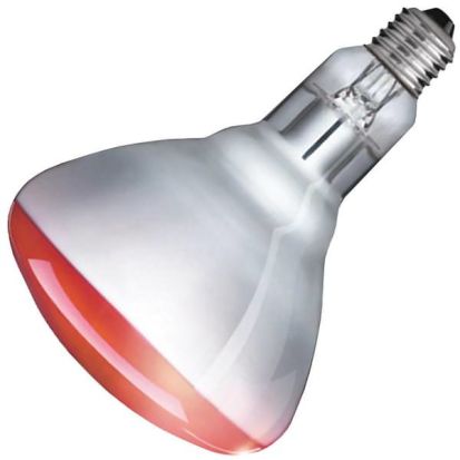 PHILIPS  415836 Incandescent Lamp, 250 W, Incandescent Lamp, E26 Medium Lamp Base, R40 Shape