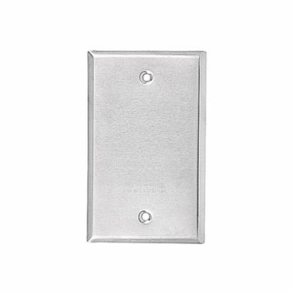 Thomas & Betts Red Dot® CCB Blank Weatherproof Receptacle Cover, 4-9/16 in L x 2-13/16 in W, Steel