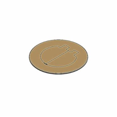 Thomas & Betts Carlon® E97BR2D 2-Door Floor Box Cover, Brass