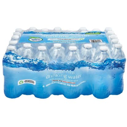 Purified Drinking Water - 40 16.9 oz bottle case