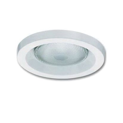 Acuity Brands Lithonia Lighting® DLB48 Metal Eggcrate Replacement Lighting Diffuser, 48 in L x 10 in W x 2-3/4 in H, Plastic