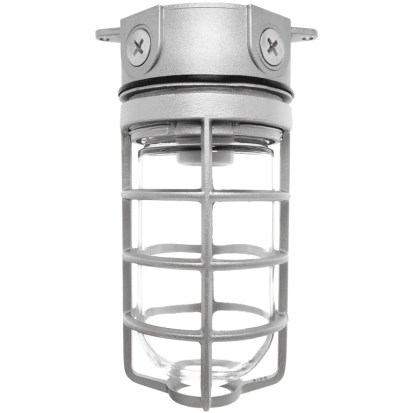 RAB VX100DG VX Series HID Outdoor Vaporproof Light Fixture,) A-19 Incandescent Lamp, 120/208/240/277 VAC, Natural Housing