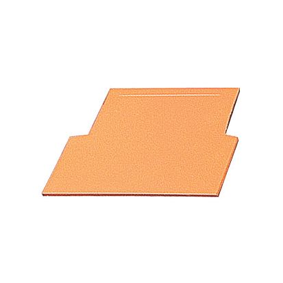 Thomas  Betts Carlon® SCDIV Non-Metallic Divider Plate, For Use With SuperBlue™ 2-Gang Device Box