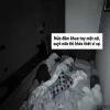 Story 1