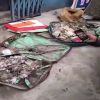 Story 1