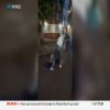 Story 1