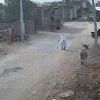 Story 1