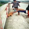 Story 1