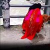Story 1