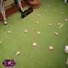 Story 1