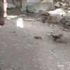 Story 1