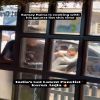 Story 1