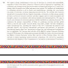 Story 1