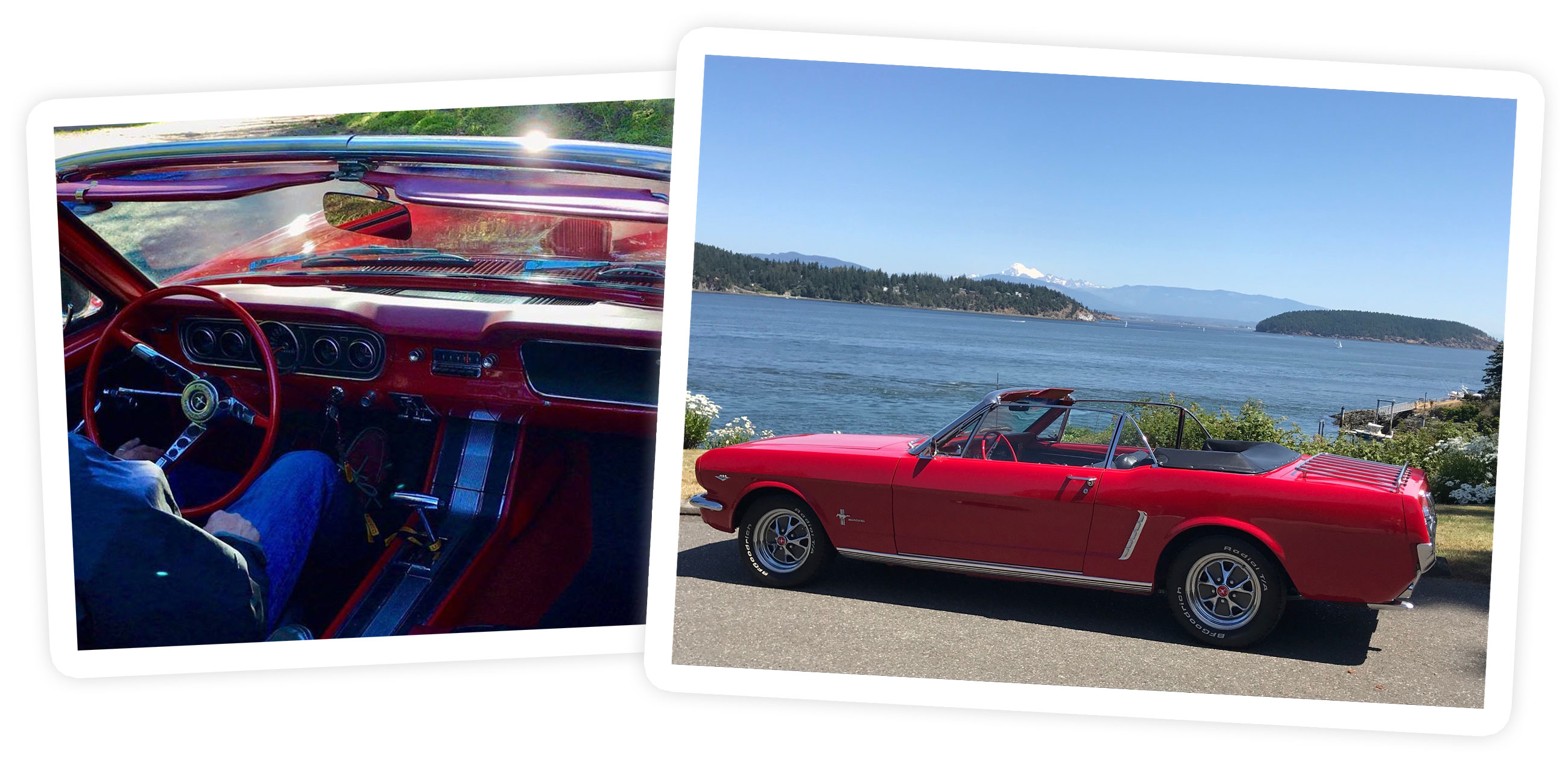 Restored 1964 (1/2) Mustang convertible