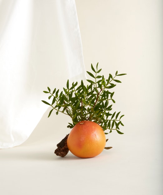 La structure des parfums