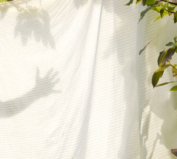 Une collaboration concrète et inspirante