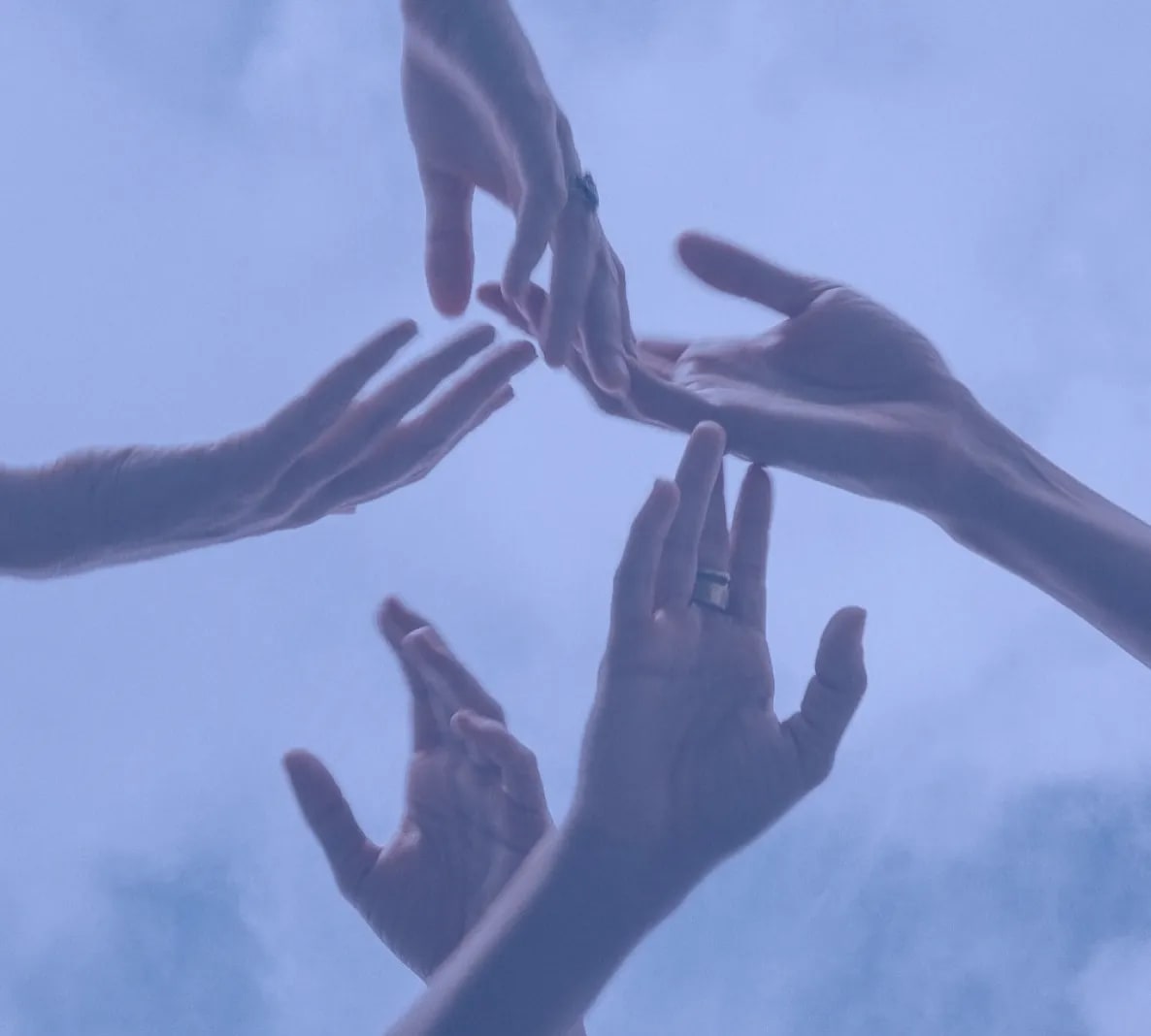 Le collectif : Les Imperturbables