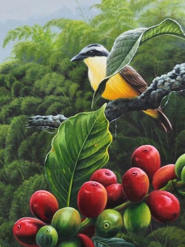 bird_on_coffee_plant