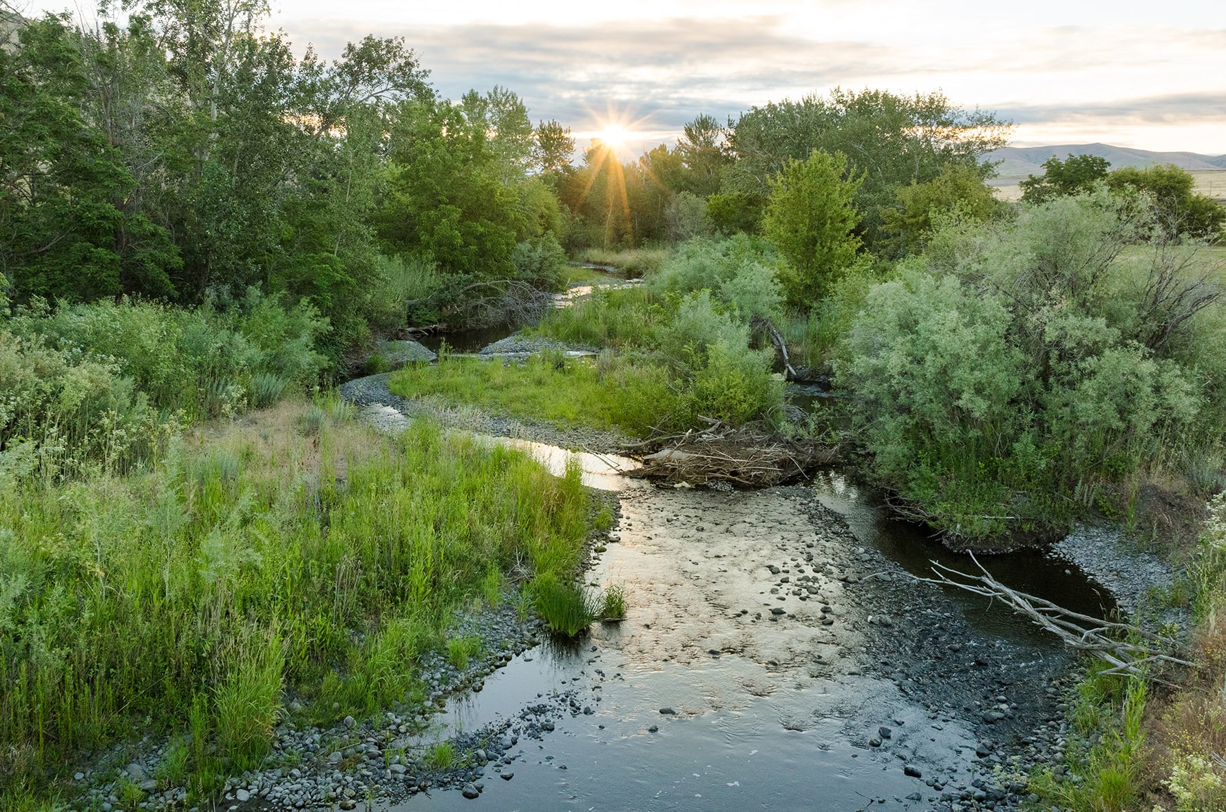 Dusk at Birch Creek