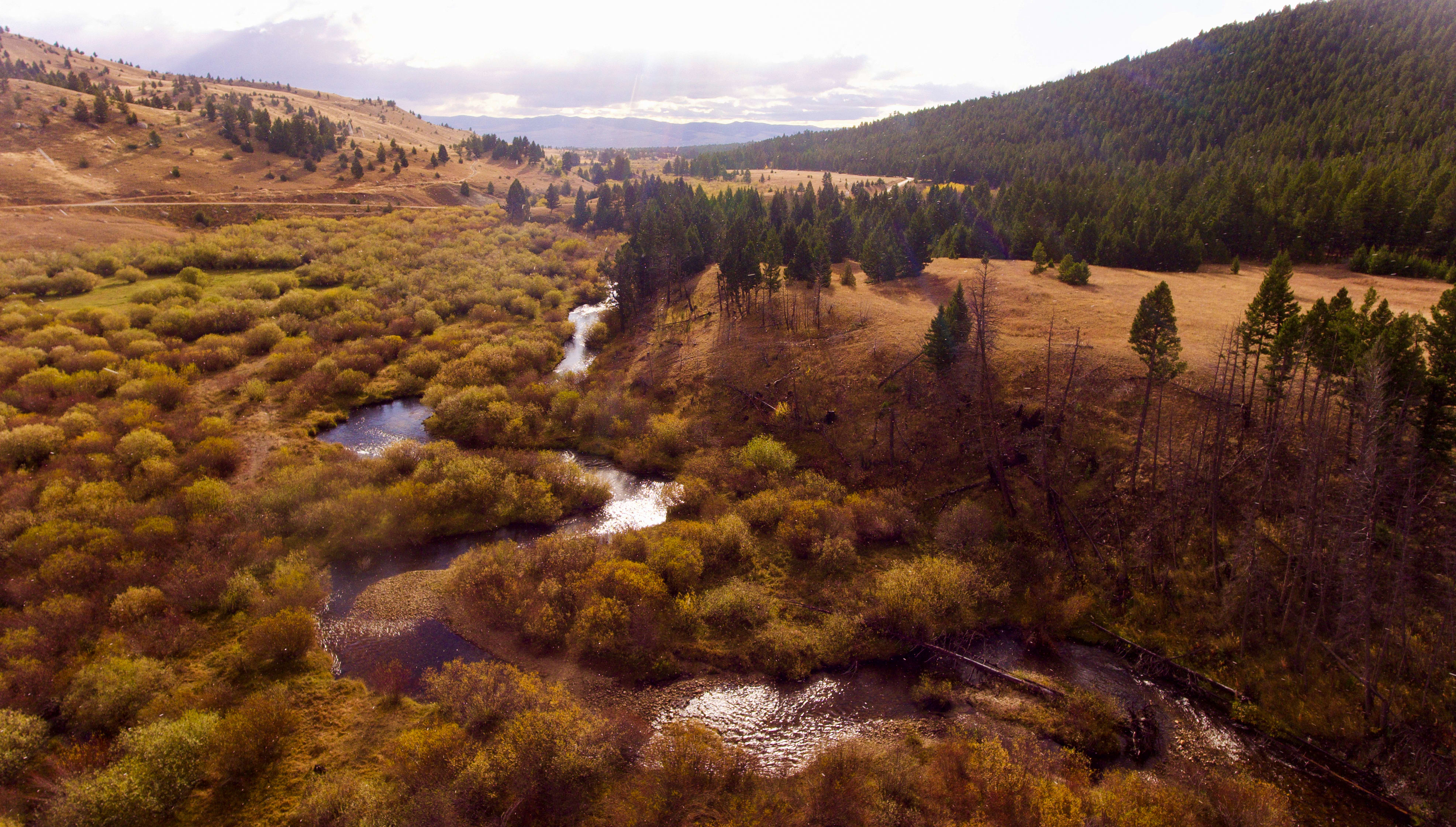 Racetrack Creek