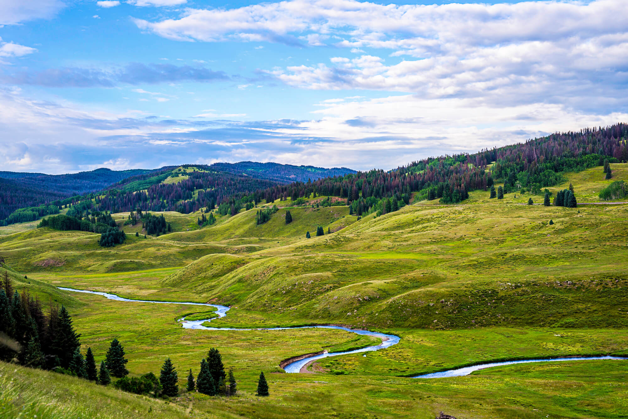 Overlooking the Rio de Los Pinos, near Cumbres Pass in Colorado. WRC conserved riverland habitat for fish and wildlife and to improve public access to this excellent trout stream. The tracks of the national historic steam-powered Cumbres & Toltec railway can be seen in the foreground. Our work will ensure the views of this stretch of the Los Piños remain unimpeded.