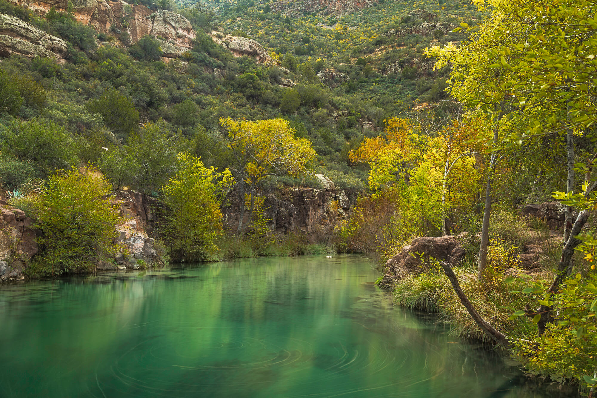 In 2016, Western Rivers Conservancy conserved the last unprotected parcel of land inside the Fossil Creek Wild and Scenic River corridor. The effort will benefit the creek’s unique fish and wildlife, protect an outstanding scenic area and archaeological resources, and improve efforts by the Coconino National Forest to manage an increasing number of people visiting the creek.