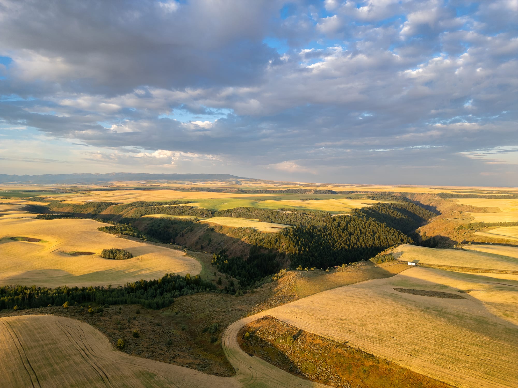 Badger Creek Canyon Ranch