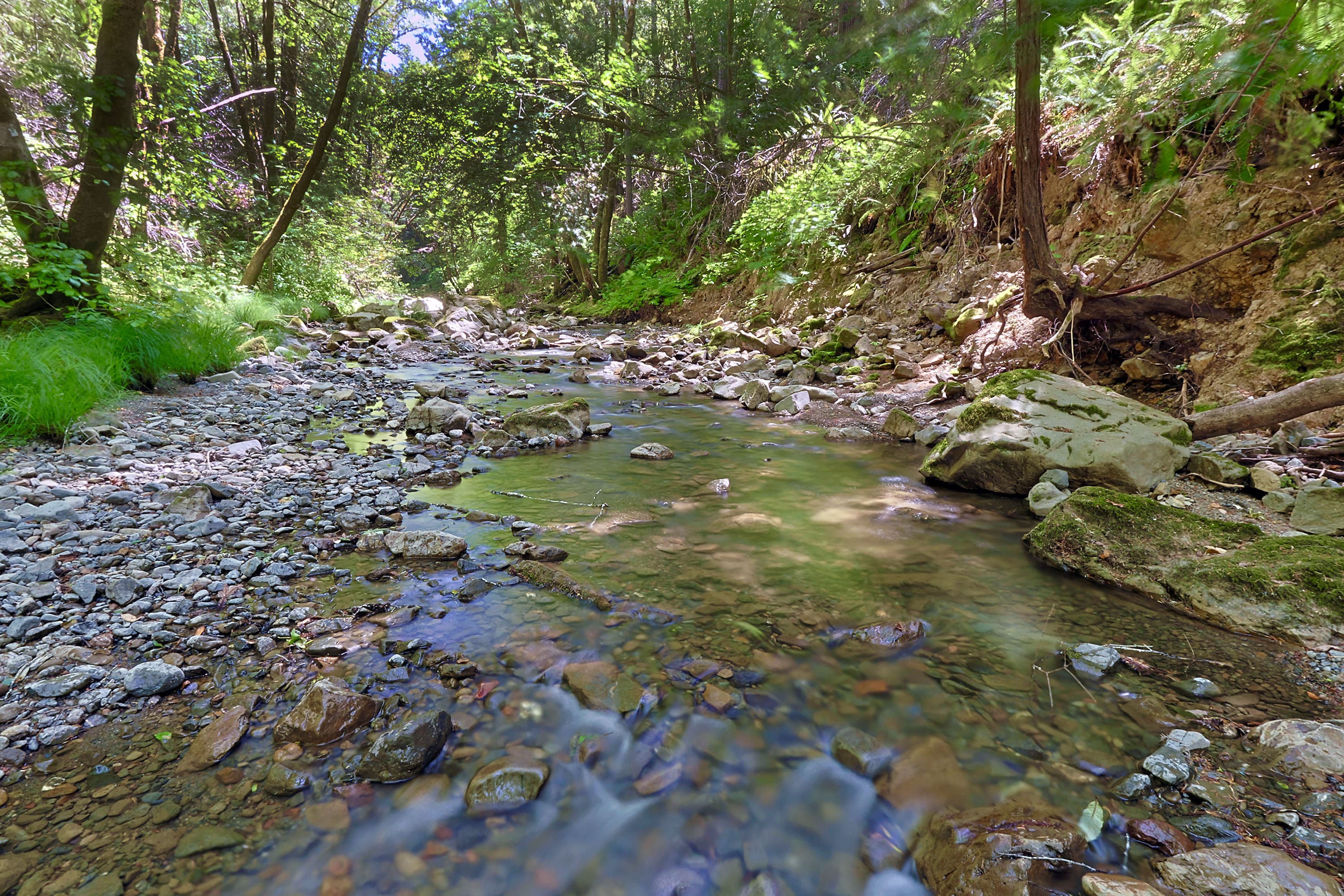 South Fork Gualala River
