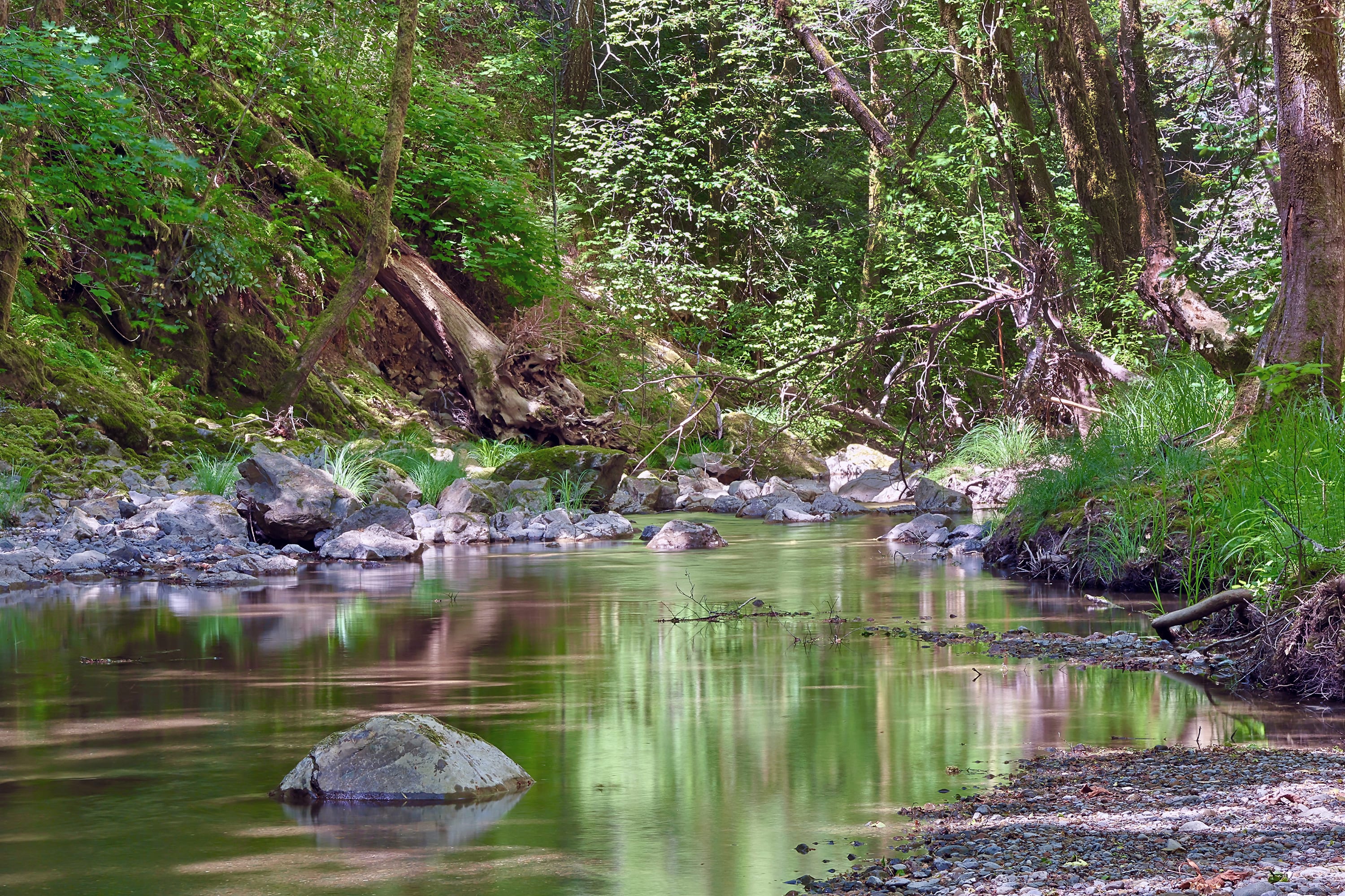 South Fork Gualala River